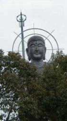 大和街道 かつらぎ町