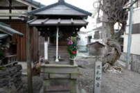大和街道 橋本市