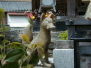 大和街道 隅田八幡宮