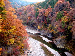奥鬼怒川 紅葉