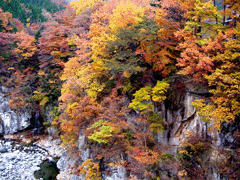奥鬼怒川 紅葉
