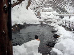 宝川温泉汪泉閣 般若の湯