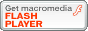 Macromedia Flash Player ���_�E�����[�h