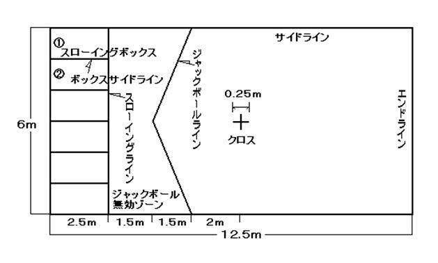 コート全体6m×12．5m