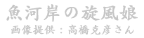 ݂͊̐EX`[摜W