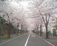 �t���[�c�p�[�N�܂ł̍�����