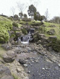 ���̗���