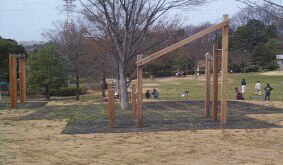 ���N�V��P