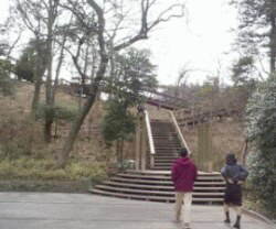 �ؓ������