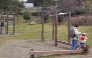 ���N�V��2