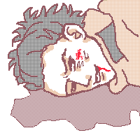 {̓PJ[Ȃ̂