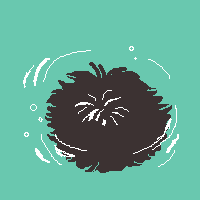 炪EII