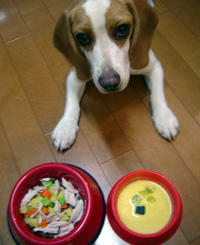ハナちゃんのプレゼント