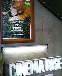 A LETTER TO TRUE