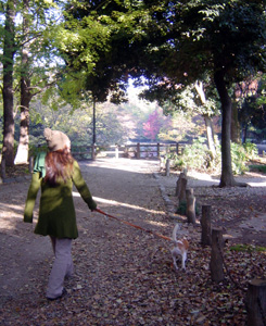 公園に移動