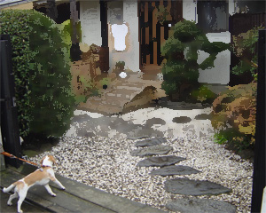 写真をお見せできない