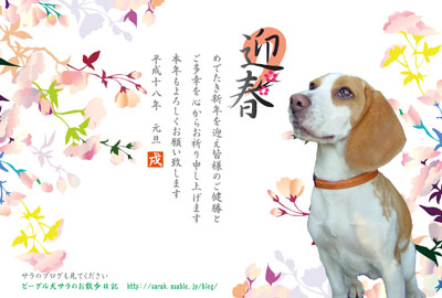 あけましておめでとうございます