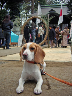 熊野神社