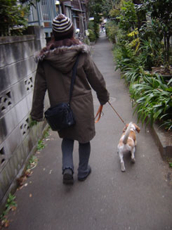 どんどんせまくなる