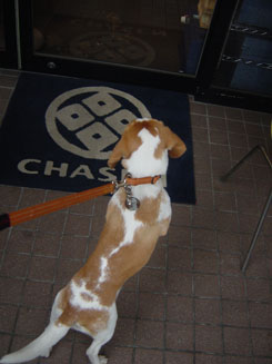 CHASENさん行こう!