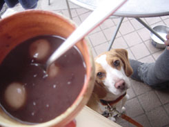 なんかちょーだい