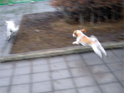 よっしゃー!