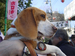 なにこの人!
