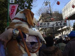 何も見れないし