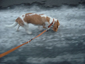 足の裏が冷たいだろう