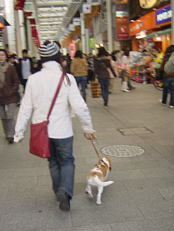 吉祥寺に行ったの