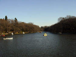 井の頭恩賜公園