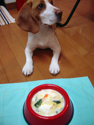 ヨダレがね