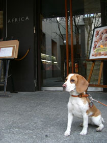 お店の前でパチり