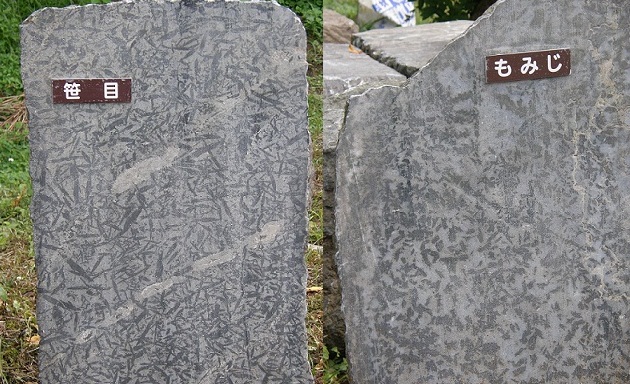 no78