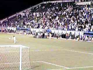 �����I�����ސw�ɂƂ肩���܂��R���I��i���i�j