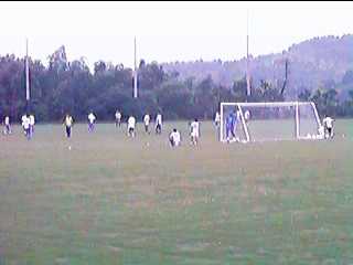 �Ȃ����{�[���̏�ɍ����Ă���}�U���b�s�f�j�R�[�`