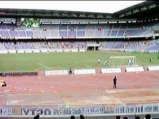 ���l���ۂ̃O�����p�X����]��