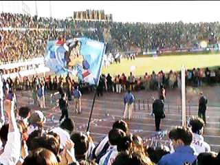 ���U�̍���