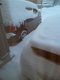雪