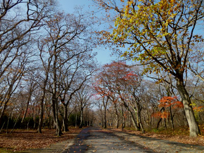 青葉公園