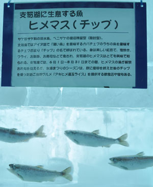 Ђ傤Ƃ܂