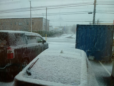 初雪