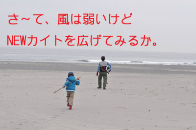 カイト