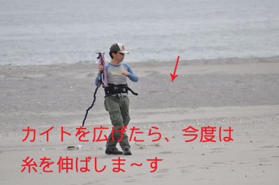 カイト