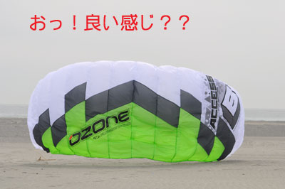 カイト