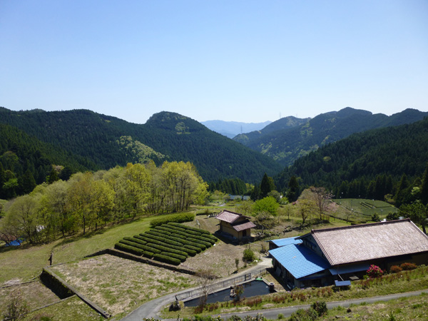 東栄