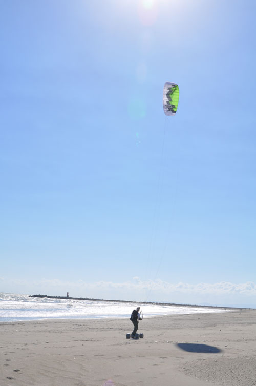 海