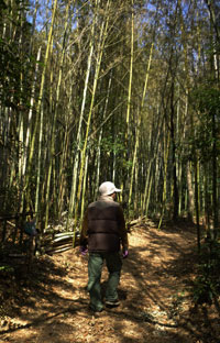 里山