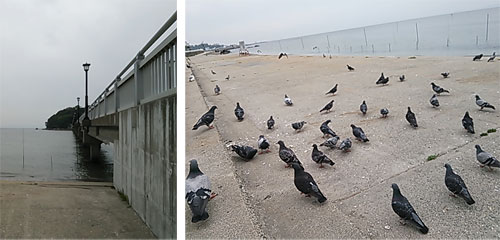 竹島