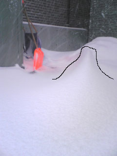 雪